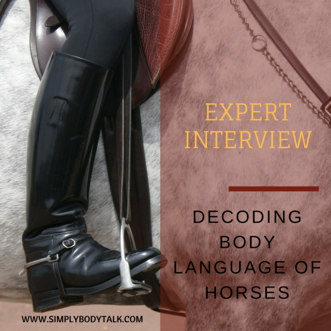 body-language-of-horses Body Language Of Racing Horses