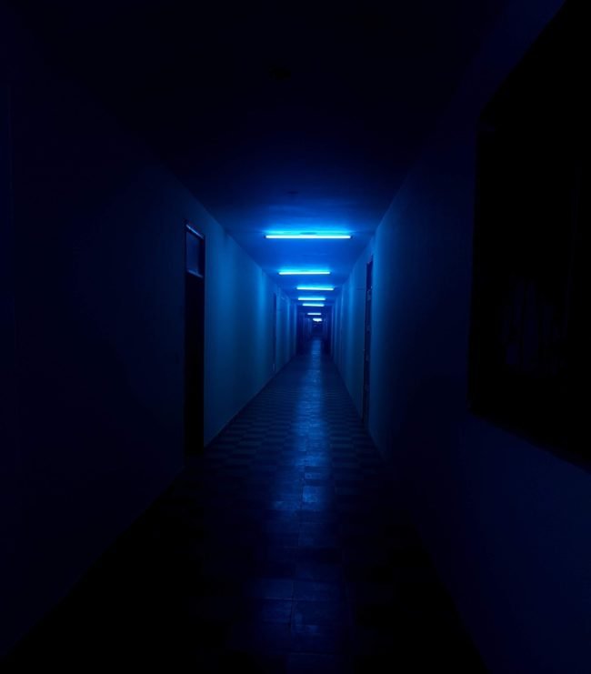 Freeze – When do we use this behavior? Learn more