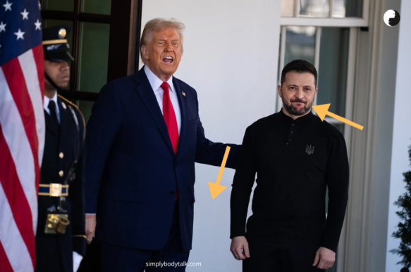 Trump Zelensky - Body Language Analysis